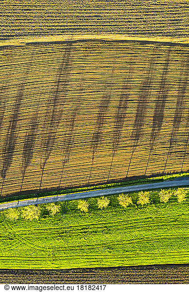 Germany  Baden-Wurttemberg  Drone view of trees casting shadows on plowed field