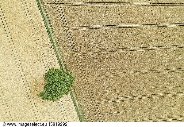 Germany  Baden-Wurttemberg  Drone view of vast countryside fields in summer
