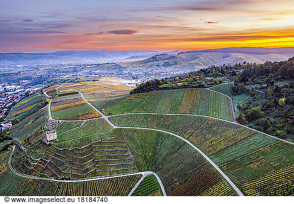 Germany  Baden-Wurttemberg  Drone view of vineyards in Remstal valley at autumn dawn