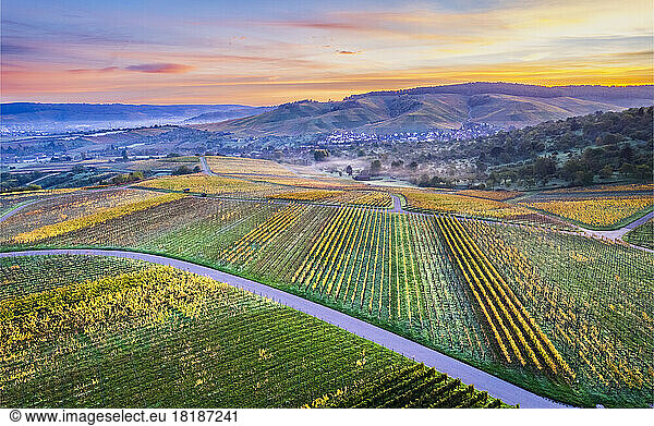 Germany  Baden-Wurttemberg  Drone view of vineyards in Remstal valley at autumn dawn