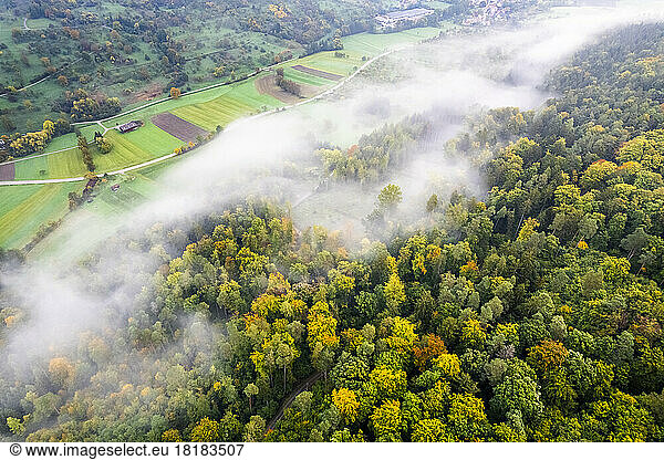 Germany  Baden-Wurttemberg  Drone view of Wieslauftal at foggy autumn morning