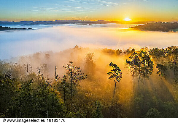 Germany  Baden-Wurttemberg  Drone view of Wieslauftal valley shrouded in thick autumn fog at sunrise