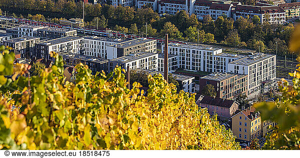 Germany  Baden-Wurttemberg  Esslingen  Modern apartment buildings in Neue Weststadt with autumn vineyard in foreground