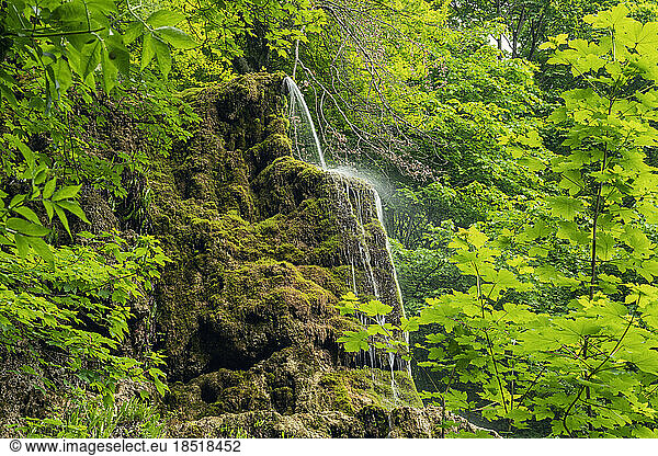 Germany  Baden-Wurttemberg  Gutersteiner Wasserfall splashing down moss-covered tuff