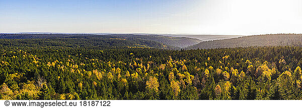 Germany  Baden-Wurttemberg  Kaltenbronn  Panorama of spruce woodland in Black Forest range
