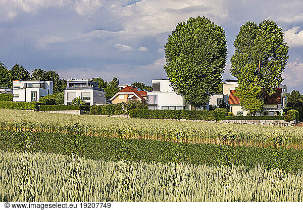 Germany  Baden-Wurttemberg  Ludwigsburg  Green summer field with modern suburban houses in background
