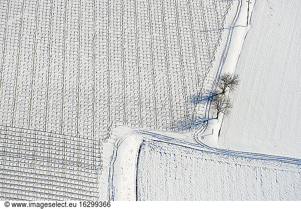 Germany  Baden-Wurttemberg  Markdorf  Aerial view of snow-capped fields