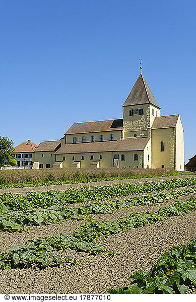 Germany  Baden-Wurttemberg  Reichenau  Crops in front of Church of Saint George