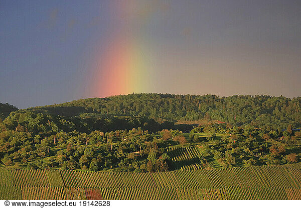 Germany  Baden-Wurttemberg  Stuttgart  Hillside fields at dusk with rainbow in background