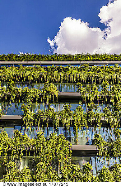 Germany  Baden-Wurttemberg  Stuttgart  Office building covered in green creeping plants