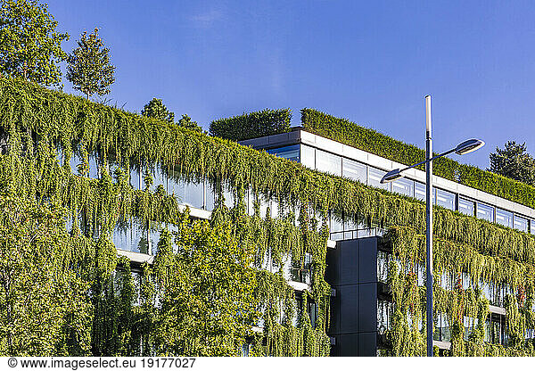 Germany  Baden-Wurttemberg  Stuttgart  Overgrown facade of office building
