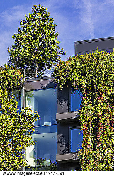 Germany  Baden-Wurttemberg  Stuttgart  Overgrown facade of office building