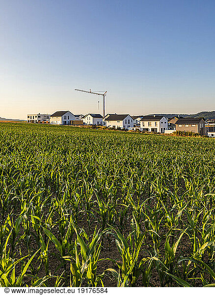Germany  Baden-Wurttemberg  Sussen  Green crops with new development area in background