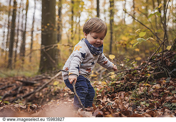 Germany  Baden-Wurttenberg  Lenningen  Little boy playing in autumn forest