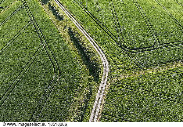 Germany  Bavaria  Aerial view of dirt road stretching through green fields in spring