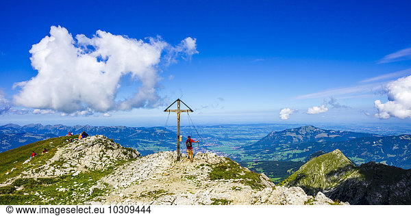 Germany  Bavaria  Allgaeu Alps  Summit cross on Grosser Daumen