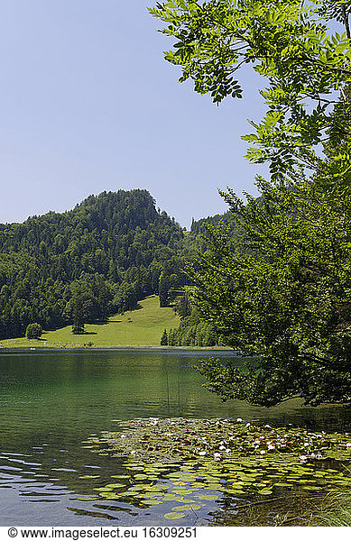 Germany  Bavaria  Bad Fauenbach  Lake Alatsee