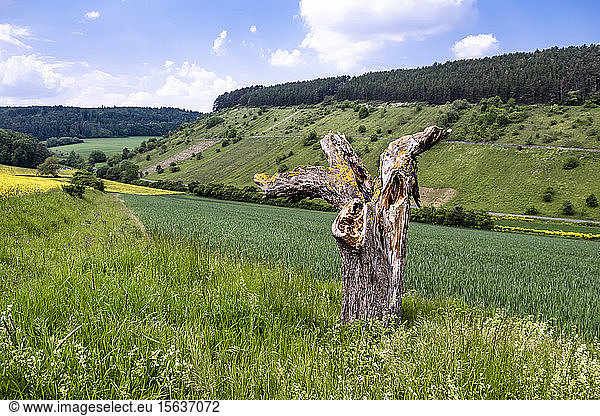 Germany  Bavaria  Baden-Wuerttemberg  scenic view of field