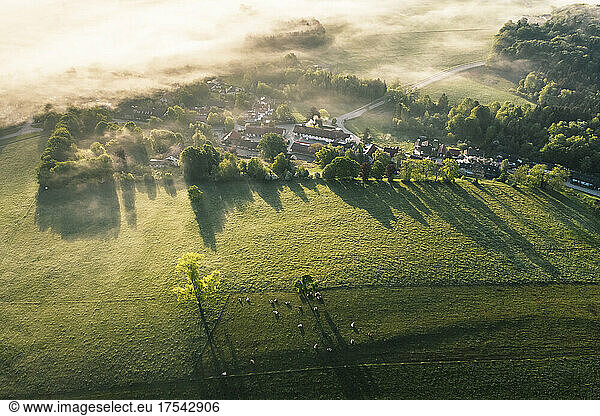 Germany  Bavaria  Berg  Aerial view of pasture and countryside village at foggy dawn