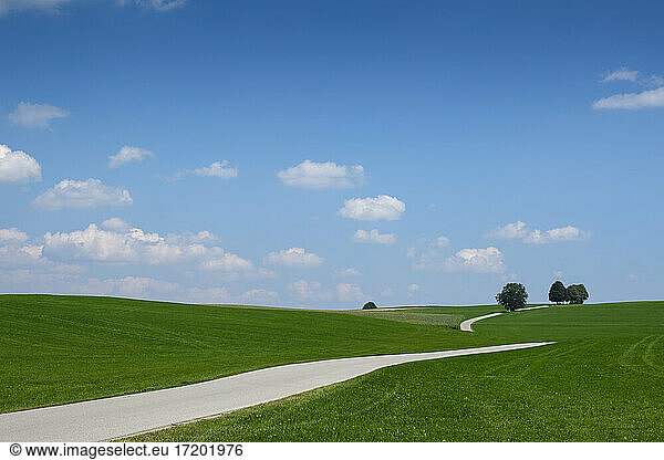 Germany  Bavaria  Degerndorf  Road through rural landscape