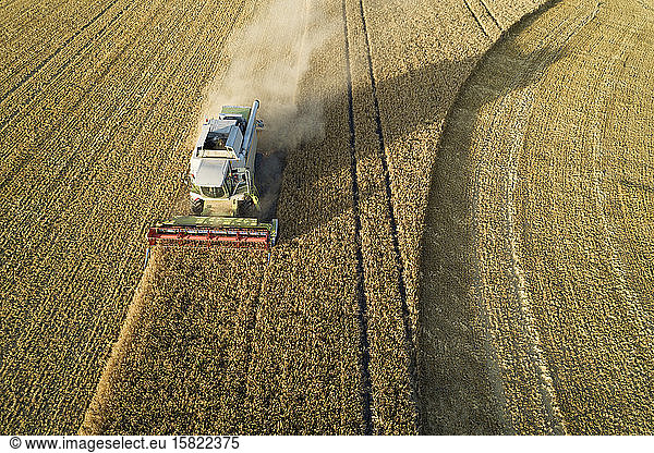 Germany  Bavaria  Drone view of combine harvester working in field