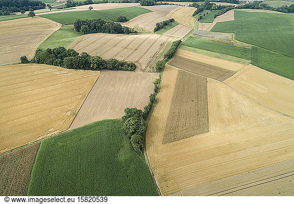 Germany Bavaria Drone view of green and yellow countryside fields in summer