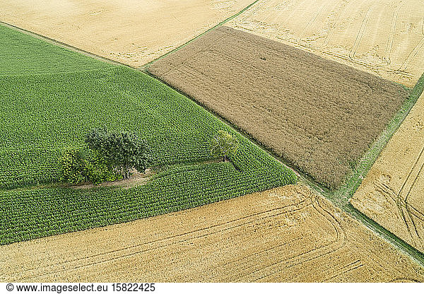 Germany Bavaria Drone view of green and yellow countryside fields in summer