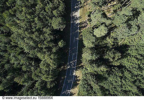 Germany  Bavaria  Drone view of highway cutting through green pine forest