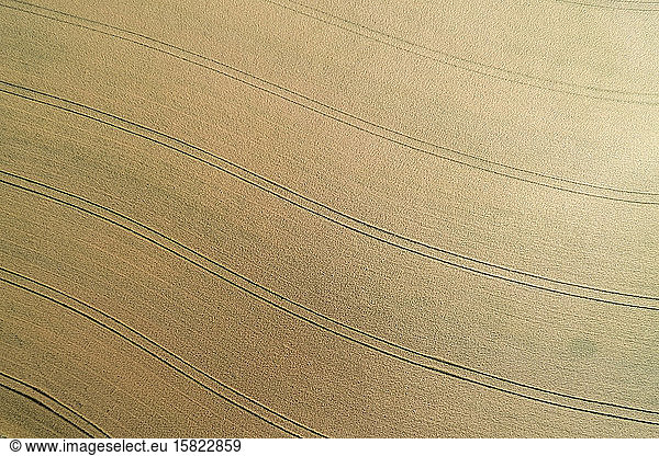 Germany  Bavaria  Drone view of tire tracks on vast countryside field in summer