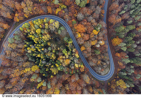 Germany  Bavaria  Drone view of winding country road cutting through autumn forest in Steigerwald
