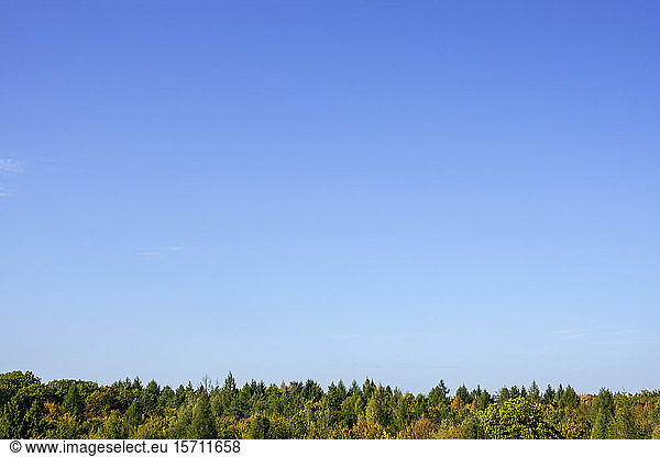 Germany  Bavaria  Ebrach  Clear blue sky over Steigerwald forest in autumn