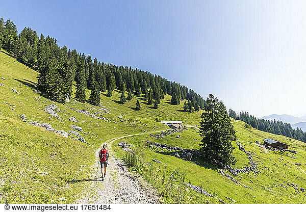 Germany  Bavaria  Female hiker on way to Fockenstein mountain