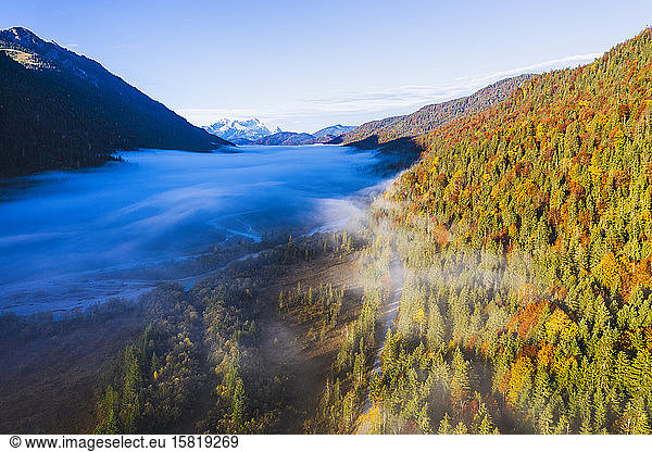 Germany Bavaria Fog floating over Isar river flowing through forested valley in Wetterstein Mountains