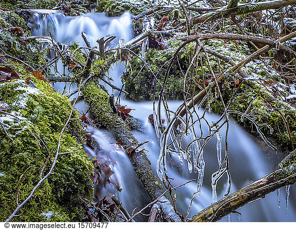 Germany  Bavaria  Ice-covered branches against splashing waterfall