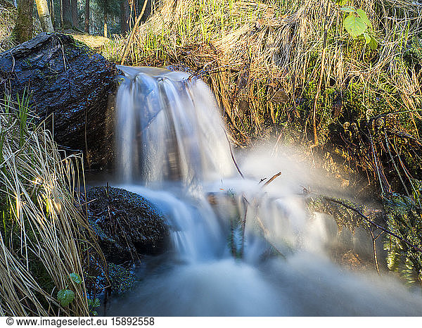 Germany  Bavaria  Long exposure of splashing stream in Upper Palatinate Forest