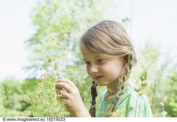 Germany  Bavaria  Munich  Girl holding flower  smiling