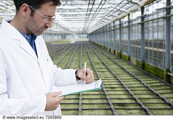 Germany  Bavaria  Munich  Scientist in greenhouse examining bed with seedlings