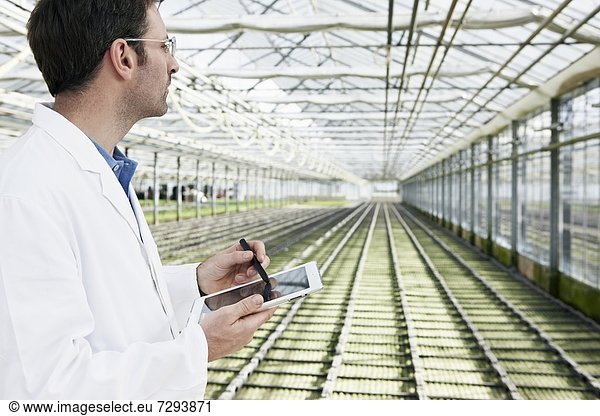 Germany  Bavaria  Munich  Scientist in greenhouse with digital tablet examining bed with seedlings