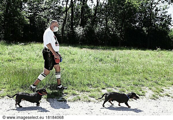 Germany  Bavaria  Munich  Senior man walking with dogs