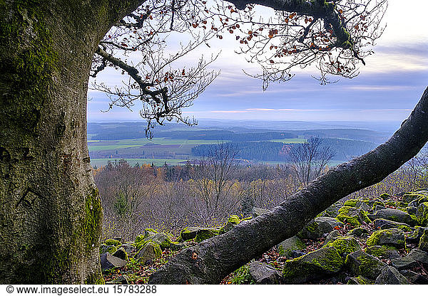 Germany  Bavaria  Neustadt am Kulm  View from summit of Rauher Kulm mountain in autumn
