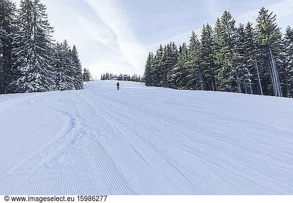 Germany  Bavaria  Reit im Winkl  Snow-covered hill and trees in winter