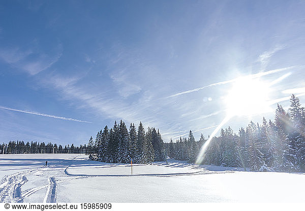 Germany  Bavaria  Reit im Winkl  Sun shining over edge of forest in winter