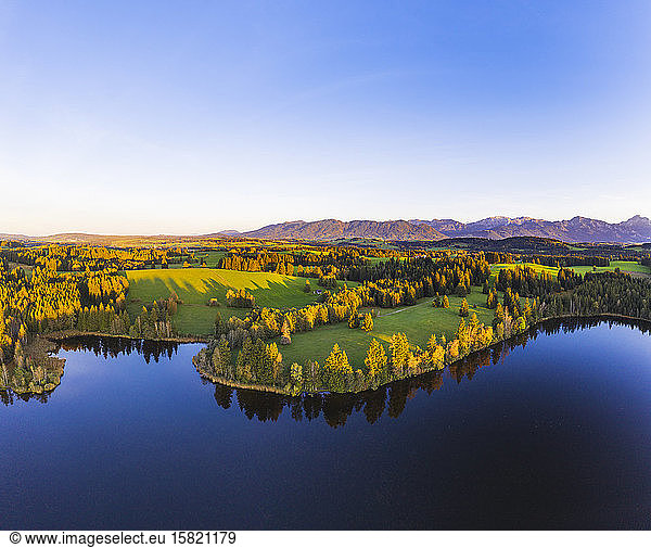 Germany  Bavaria  Rosshaupten  Drone view of clear sky over forested shore of Schmutterweiher lake in autumn