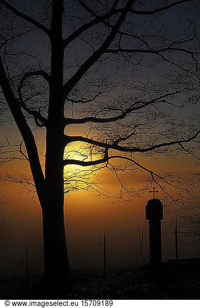 Germany  Bavaria  Silhouettes of bare tree and landmark shrine at sunset