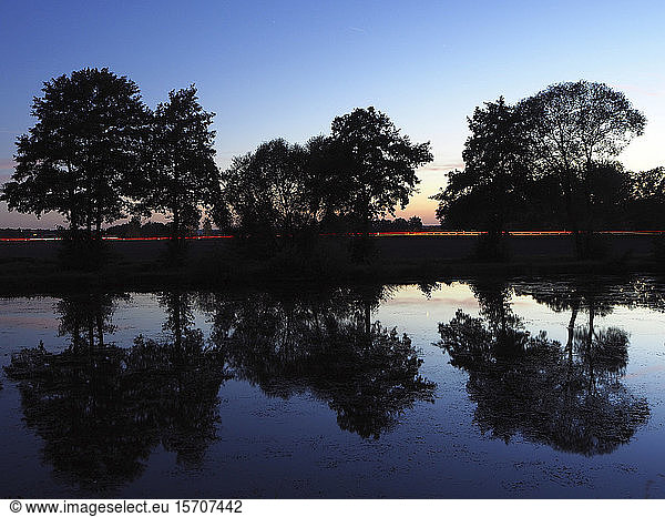 Germany  Bavaria  Silhouettes of trees reflecting in shiny lake at dusk