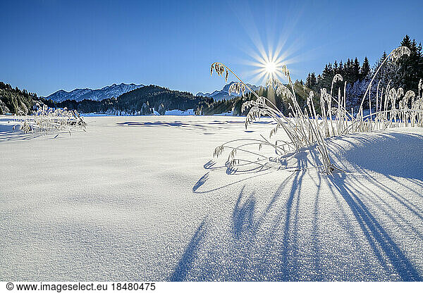 Germany  Bavaria  Sun rising over snow-covered lake in Bavarian Alps