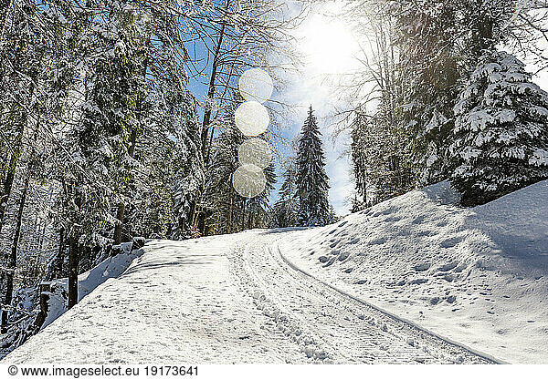 Germany  Bavaria  Sun shining over snow-covered road on Sollereck mountain