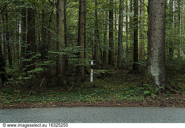 Germany  Bavaria  Useless marker post in the woods by country road