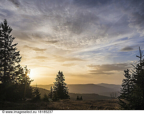 Germany  Bavaria  View of Bavarian Forest at sunrise