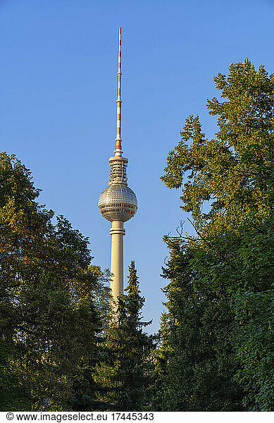 Germany  Berlin  Berlin Television Tower with trees in foreground
